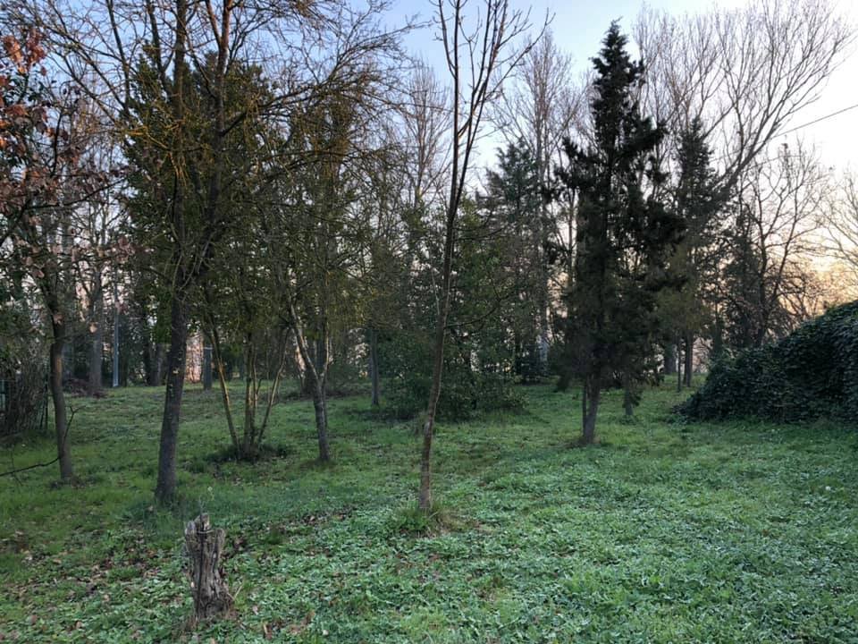 fmeneg66's tweet photo. 🌳🌲🧪 #foresttherapy #shinrinyoku - research #CNR 
@CnrHct  + @CAI150 concentration of essential oils in #forest #air #BVOC goes on at usual control site: #grove behind home. Enthusiasm studying air #bioactive properties that can help human #immune system @StampaCnr https://t.co/pkiJHCbCpN