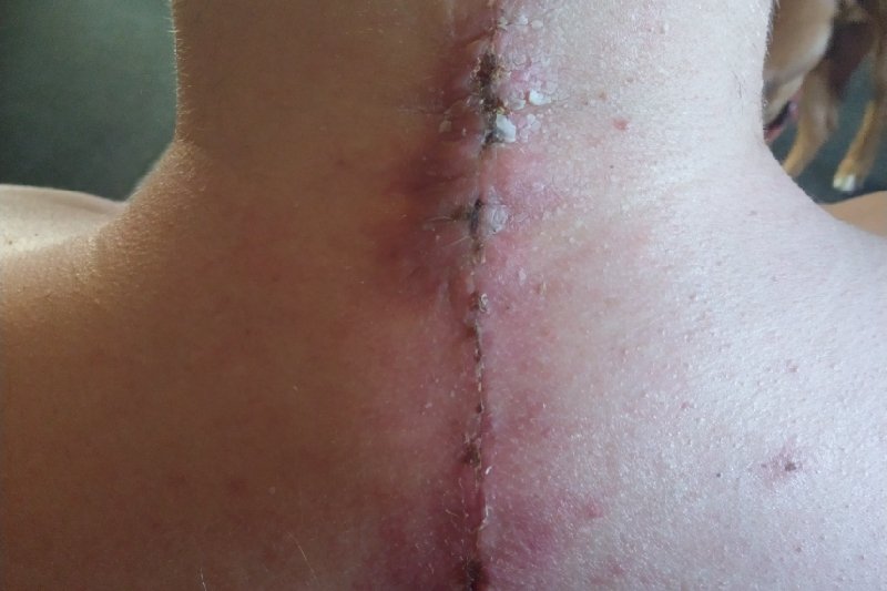 Please support my GoFundMe campaign: gofundme.com/f/make-my-home… <a href="/gofundme/">GoFundMe</a>