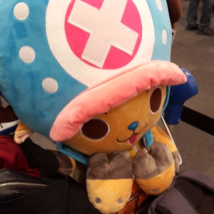 We got a life size Chopper! He's so cute!