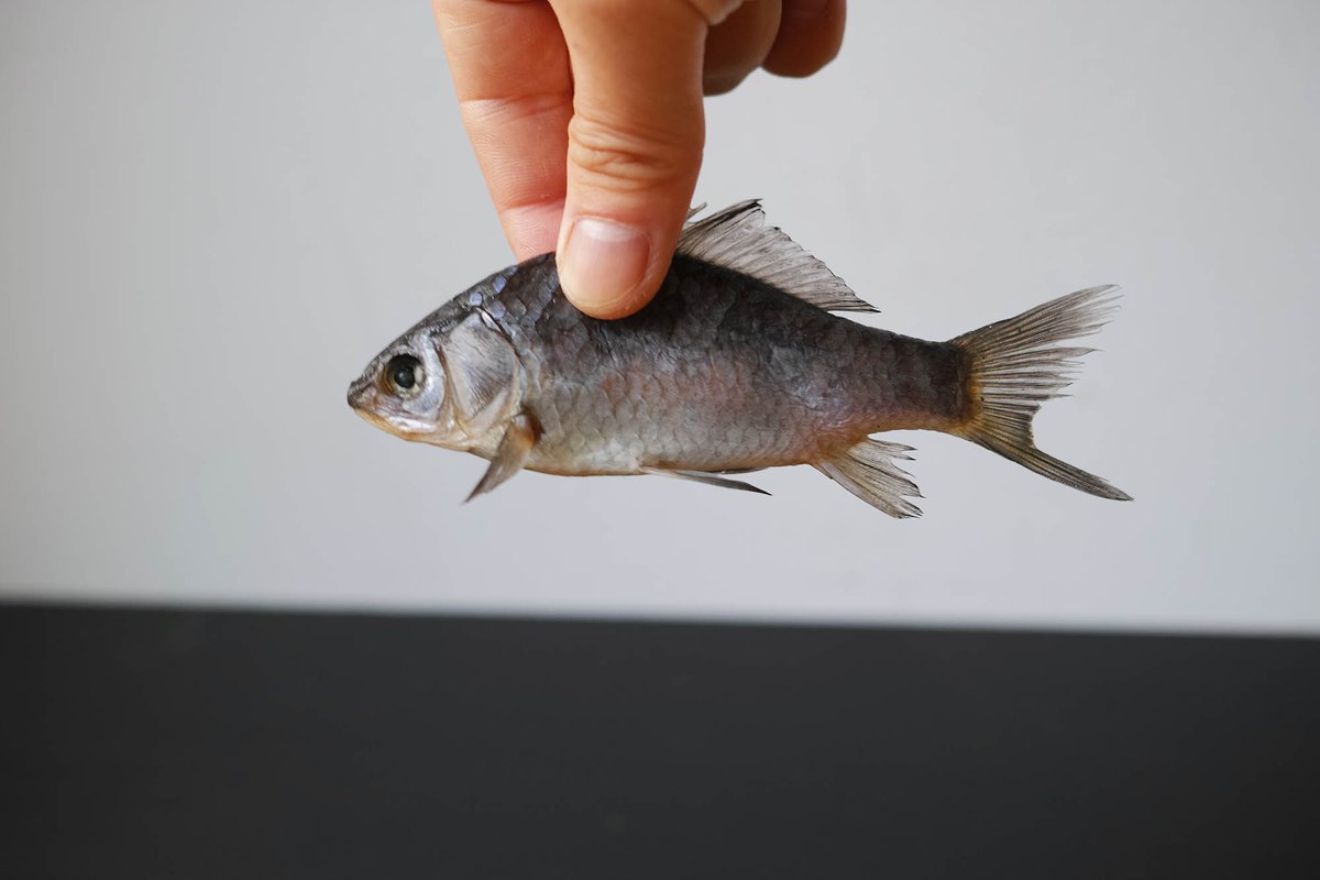 ETX7KTSU0AMVO7g.jpg?format=jpg