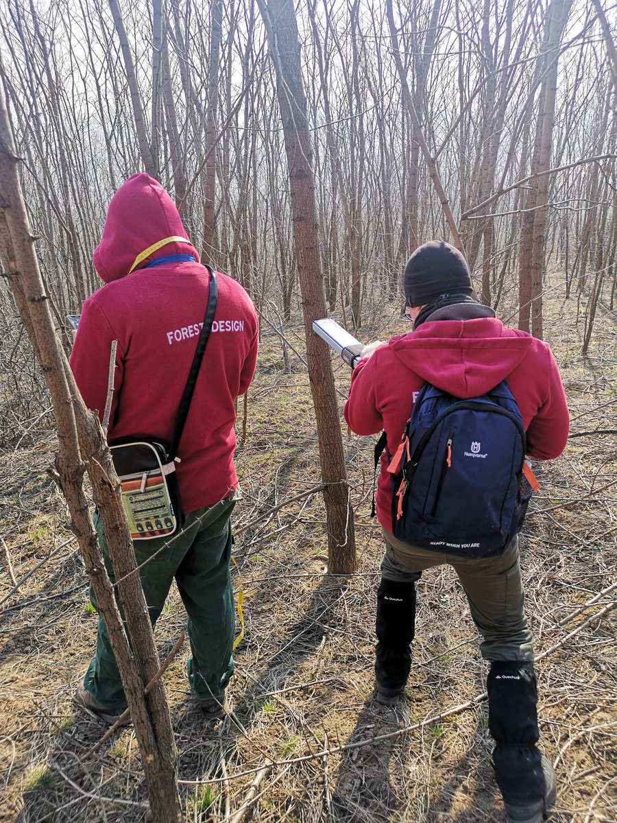 Forest_DesignRo's tweet image. #forestdesign, #carboncapture, #virtsilv, #mobilemaping