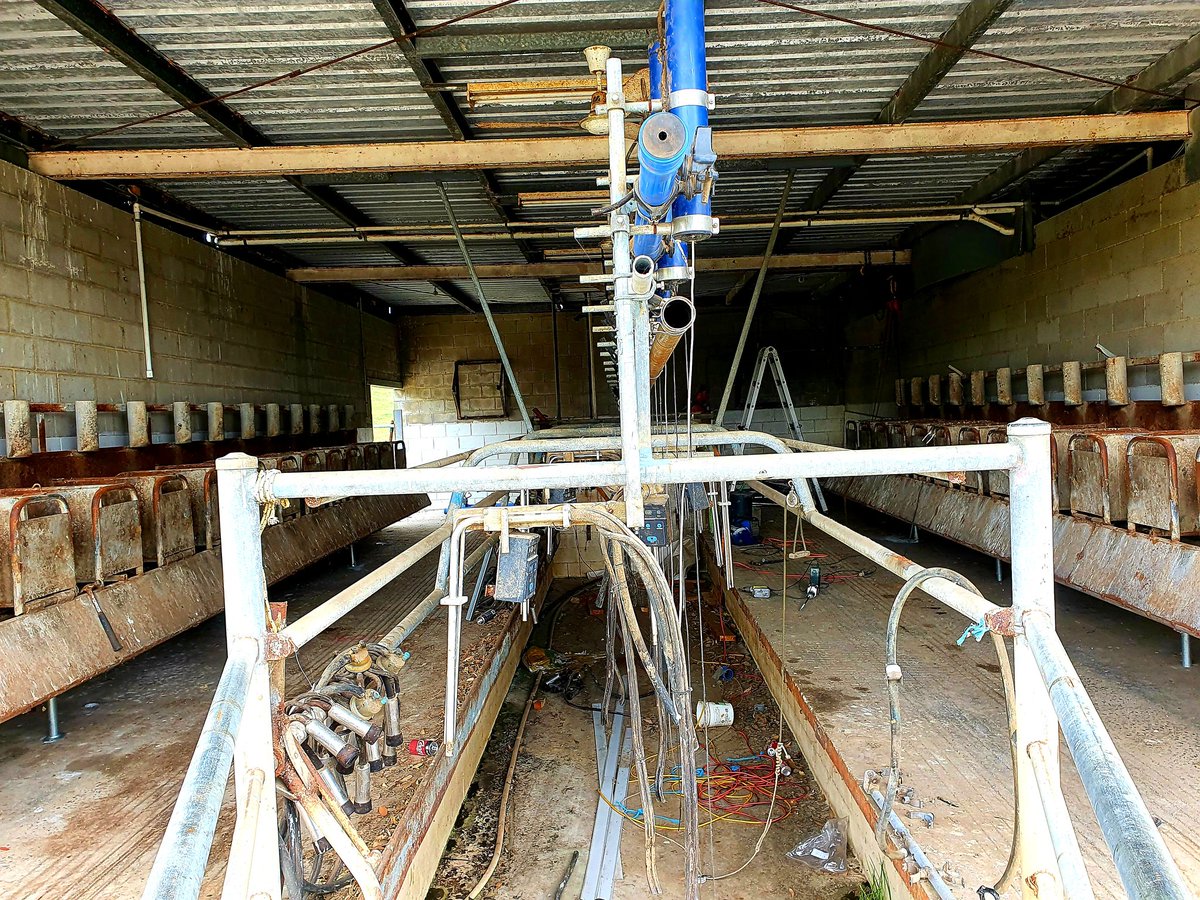 Pulling it down was way more fun, then getting it back in, but it's looking good! 
#excitingtimes