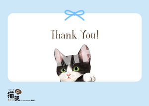 「ローソンプリントに新猫部デザイン登場??

霜田有沙さんの描く猫たちのカードをお」|フェリシモ「猫部」のイラスト