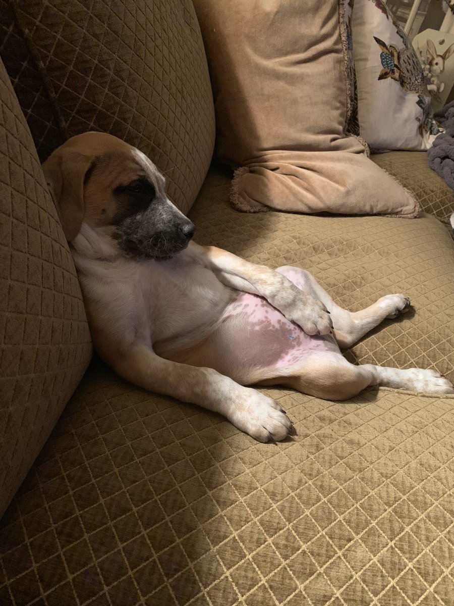 Maria Smith tweet media