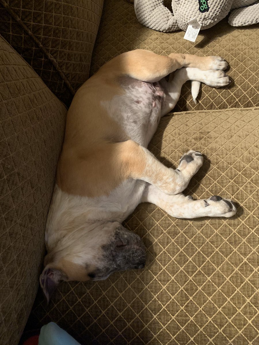 Maria Smith tweet media