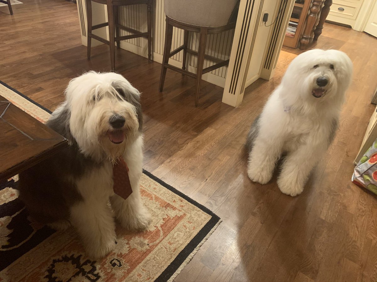 Maria Smith tweet media