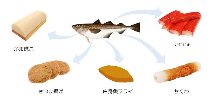 スケソウダラ スケソウダラ