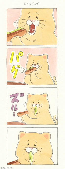 4コマ漫画ネコノヒー「レタスドッグ」/hot dog  単行本「ネコノヒー3」発売中!→ 