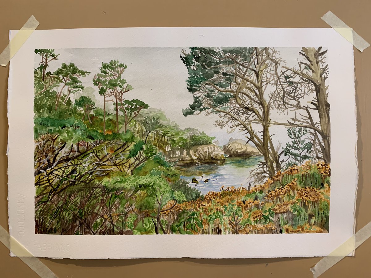 Point Lobos #1, 12” x 19”, watercolor, (c) 2020, Eric M.Davis. #watercolor #pointlobos #californiacoast