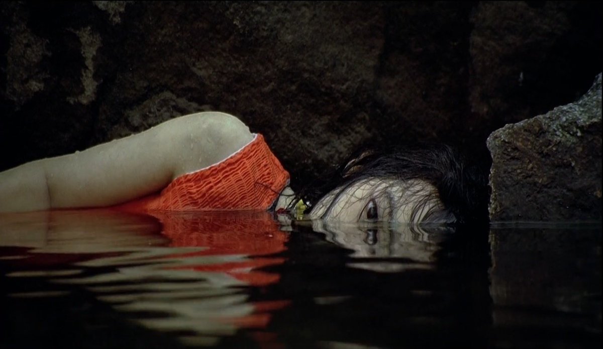 SYMPATHY FOR MR VENGEANCE (2003)Begins as a real poetry. brilliant in its way of lingering on details, just as not allowed, obsessing by its rhythm, its colors, the composition of its plans.. and then VIOLENCE! a CLASSIC in kmovie, i’ll die if you not watch it