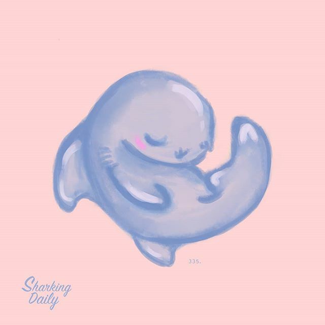 sharkingdaily's tweet photo. Day 335. Cute shark for you 💙
.
.
.
I'm drawing a shark every day for a year, thank you for following and supporting me 💙🙏 Shark bless
--------------------------------------------
#shark #sharks #the_ocean #oceanart #ilovesharks #savethesharks #marin… https://t.co/XmRV7xnIHQ https://t.co/imHkILBrFD