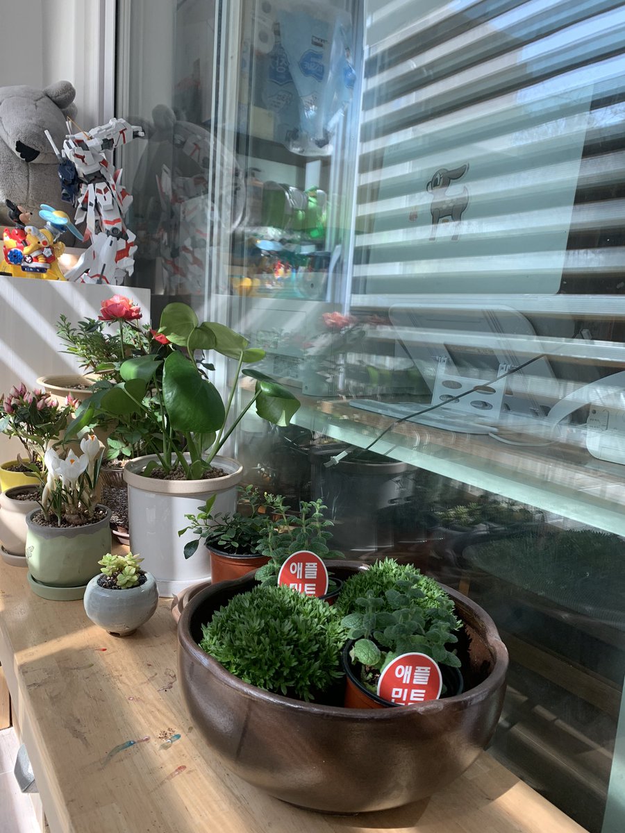 elfin0840's tweet photo. 작고 예쁜 것들을 보며 힘내기 https://t.co/zVKRNg8vqg