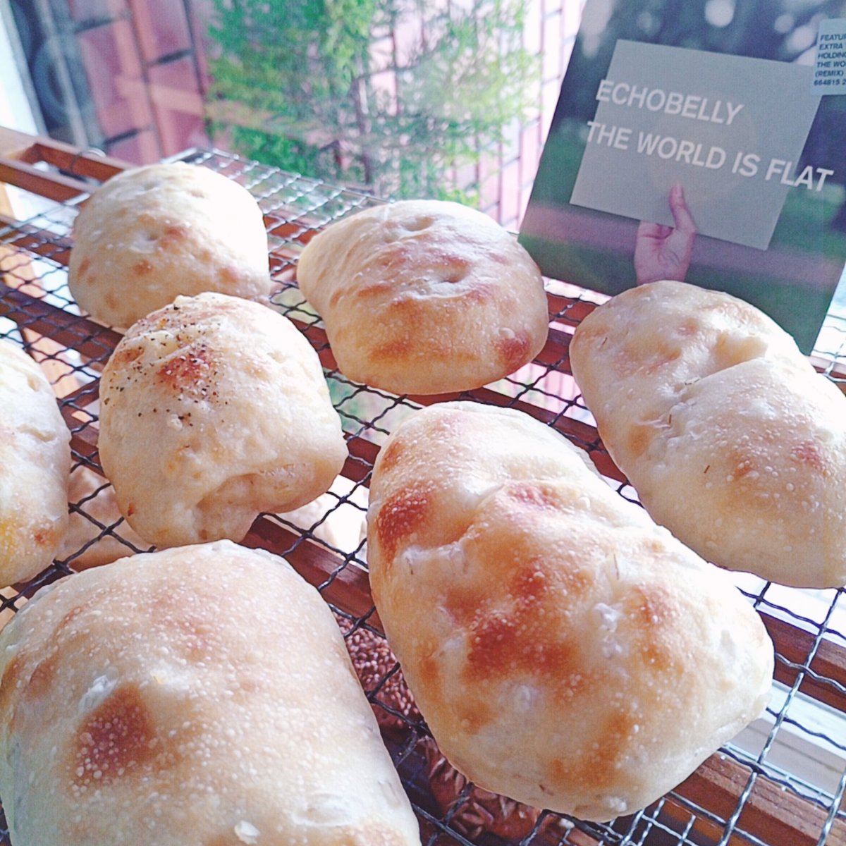 Pain_de_BRUN's tweet photo. 手前より
#押麦入もちパン
#マッシュポテトパン
#大麦入フォカッチャ
いずれも楕円で平たい形状です。
お間違えなく〜
#oatsbread
#mashedpotatoBread
#barley_focaccia
#サラダ油不使用
#vegan_cafe
#Bakery_cafe
#vegan_bakery
#DairyFreeBakery
#プラントベース
#米油
#rice_bran_oil https://t.co/B2gU7MJOpw