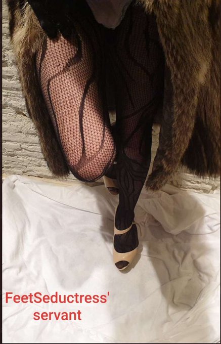 Enslaved at my feet! @slaveo3  dressed up and ready to submit https://t.co/TY6XpN12Uu<a class="tags" target="_blank" title="On Twitter" href="/?out=eyJ0eXAiOiJKV1QiLCJhbGciOiJIUzUxMiJ9.eyJpYXQiOjE3MjI4OTEzNjIsImlzcyI6InR3cG9ybnN0YXJzLmNvbSIsIm5iZiI6MTcyMjg5MTM2MiwiZXhwIjoxNzU0NDI3MzYyLCJyZWRpcmVjdF91cmwiOiJodHRwczovL3R3aXR0ZXIuY29tL3NsYXZlbzMifQ.KcGGO2iUnc_LI71CHCT6DVWyypAJkuQr50DypD1avgR73dsEM2_BwpXIxbWV5f9cfb6i4V2FxVl7n3y75mW26A">@slaveo3</a><a href="/tag/live"class="tags"><span>#live</span></a><a href="/tag/heels"class="tags"><span>#heels</span></a><a href="/tag/online"class="tags"><span>#online</span></a><a href="/tag/feet"class="tags"><span>#feet</span></a><a href="/tag/nylon"class="tags"><span>#nylon</span></a>