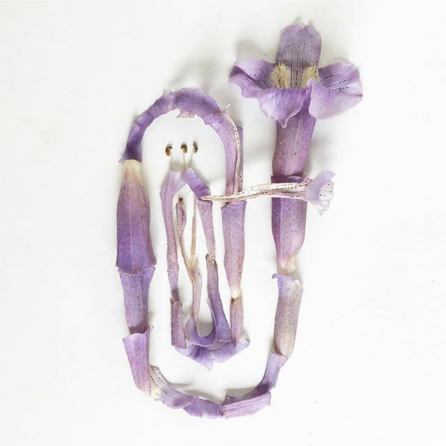 🎶 Just a couple more hours! 15% off with discount code GOLD at floraforager.com ift.tt/2QrpPdv