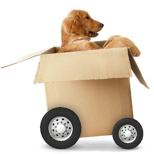 We're still truckin' on, more than happy to arrange deliveries for folks that need us, just get in touch on 01332 291369 or info@soundbitesderby.org.uk #supportindependant #vegan #homedelivery #Derbyshire