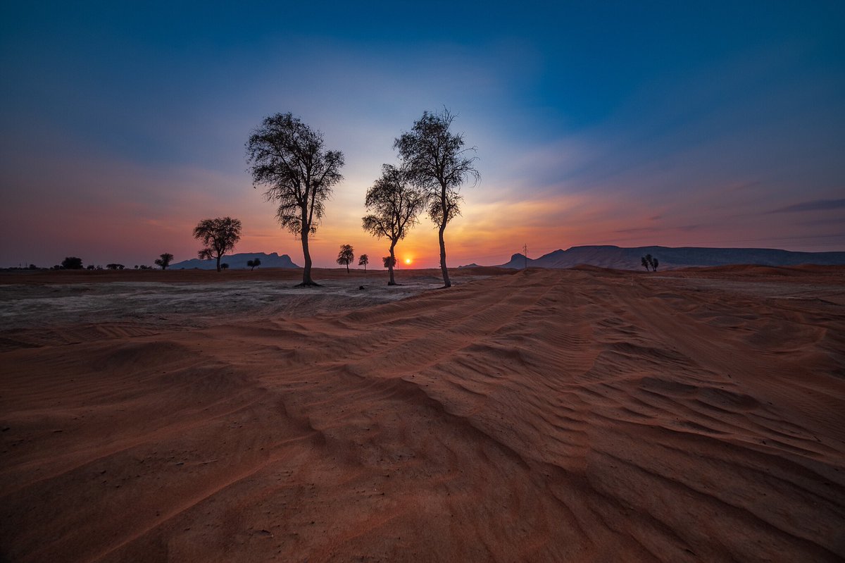 AsimsGallery's tweet photo. Sunset from Maleha Desert - Sharjah, UAE.
Fujifilm XT3 + XF 8-16mm F2.8.
#travelphotography #manama #dubaicityscape #dubai #mydubai #mydubaipics #bahrain #landscapephotography #bahrainphotographers #bahrainphotographer #fujifilmxt3 #asimkv #fujilove #fujifilm #fujifilmbahrain https://t.co/gBBKhzKUeL