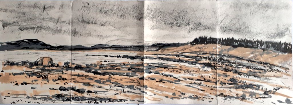 RavenesqueM's tweet photo. #Brora #Beach as the sky darkened - strewn with rocks &amp; seaweed tangles
#drawing #seascape #rockyshoreline #cliffs #landscape #seascape #locationdrawing #markmaking #mixedmedia #expressivemarks #drawnonlocation #worksonpaper #Sutherland #highlands #Scotland #senseofplace https://t.co/1WwrueHm67