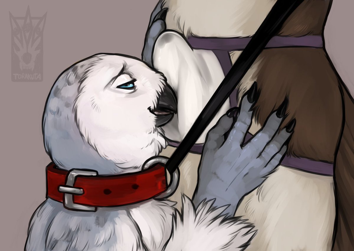 Commission that I done some time ago for Pirateeagle (furaffinity). :)