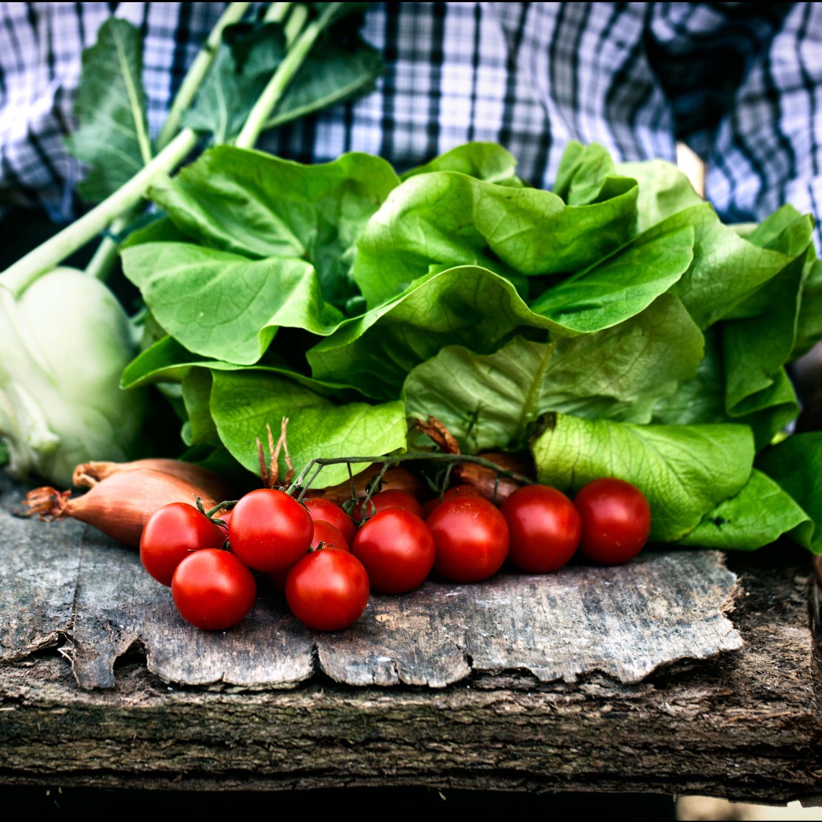 Dine in style with a meal at Restaurant 66A. We use fresh and organic produce from our local farms, giving you an authenitc british taste! 
 .
Book a table today
 .
ow.ly/mbfN50yJRoD
 .
 #booking #cotswoldlodge #oxford