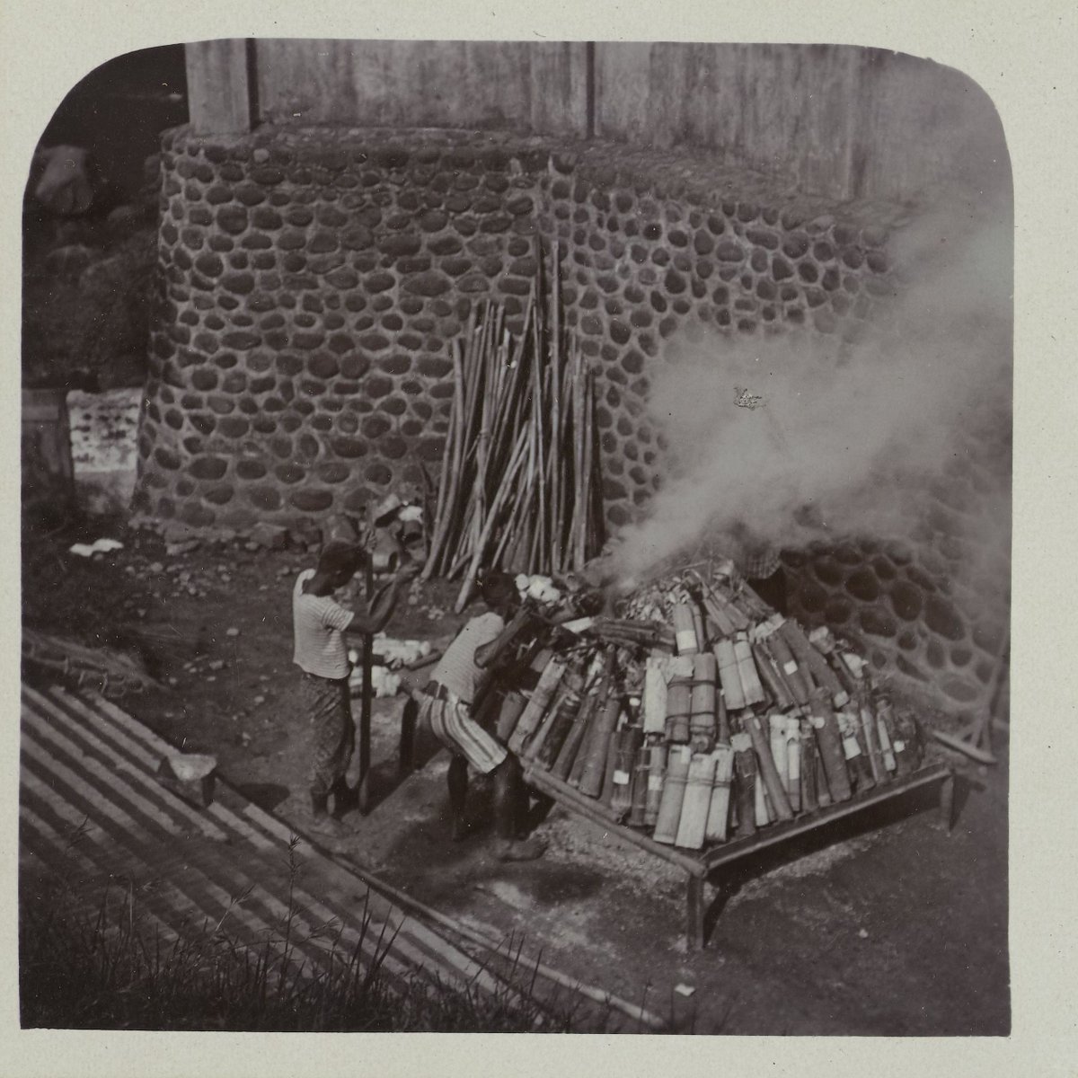 Wabah sampar/pes membunuh 220.000 lebih penduduk Jawa antara 1911-39.

Sejak kasus pertama di Turen, Malang Nov 1910 dan perlahan meluas, 1) publik divaksin dan penderita dikarantina, 2) sarang tikus diasapi/dibongkar, 3-4) tikusnya dibakar.

Potret² Neville Keasberry dari Malang