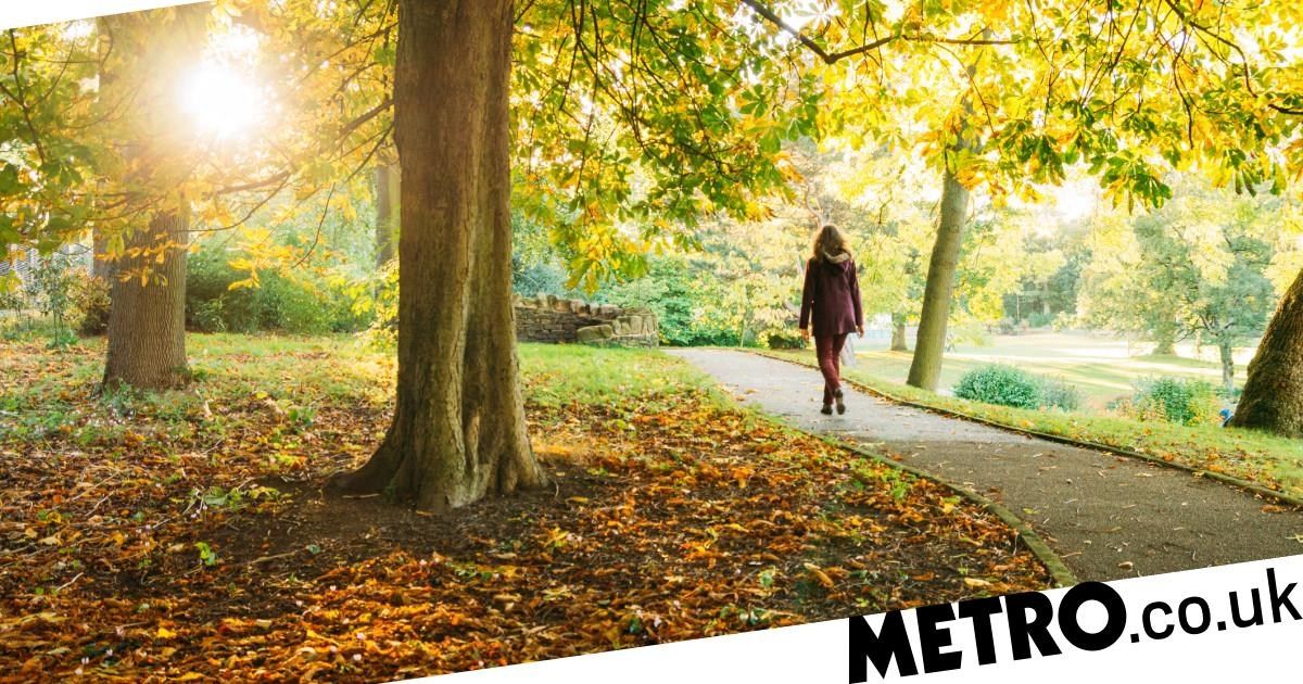 OsmondGroup's tweet image. You can still go for walks when you are self-distancing as long as you keep 2 feet away from other walkers: trib.al/b3Gf62W
#engagewithnature #eercise #walkinthepark