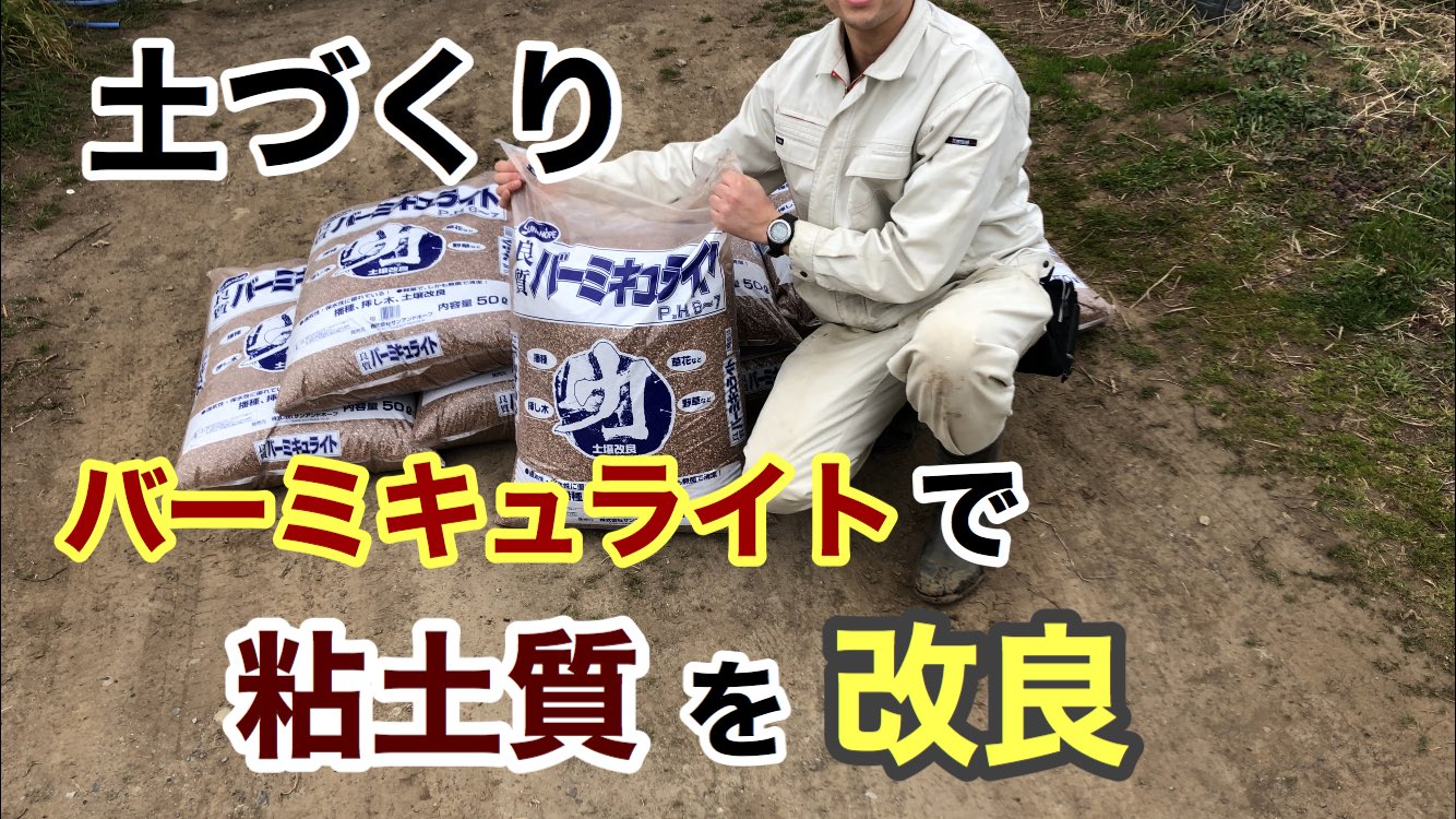 カズマ 𖧧 ペデリアファームさん Paederiafarm からの依頼です 新規ユーチューバーさんです 土壌改良をされたそうです ぜひご覧ください 土づくり バーミキュライトで粘土質の土を改良 T Co 0fhbpfisks ペデリアファーム 土