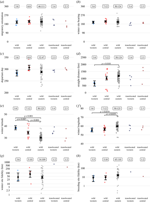 Eastern adults migrated 2x as far as the west population & had less variation in migration distance than the centre birds. West and centre populations wintered further north, & the centre population further west than the east population. #ornithology  #scicomm