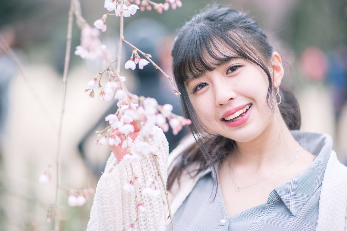 syu_suke_photo's tweet photo. 過去pic
京都御所の桜
#portrait
#Sphoto https://t.co/FI9Y1YTLze