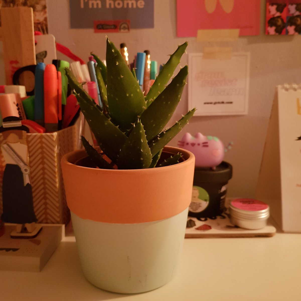 (Catching up!)14.3.2020: three okay things• Mil posing & playing with thread • a relaxing evening with Chinese food (I cleared my plate!) • a new plant for my desk/rainforest  #threeokthings  #seekingsunshine