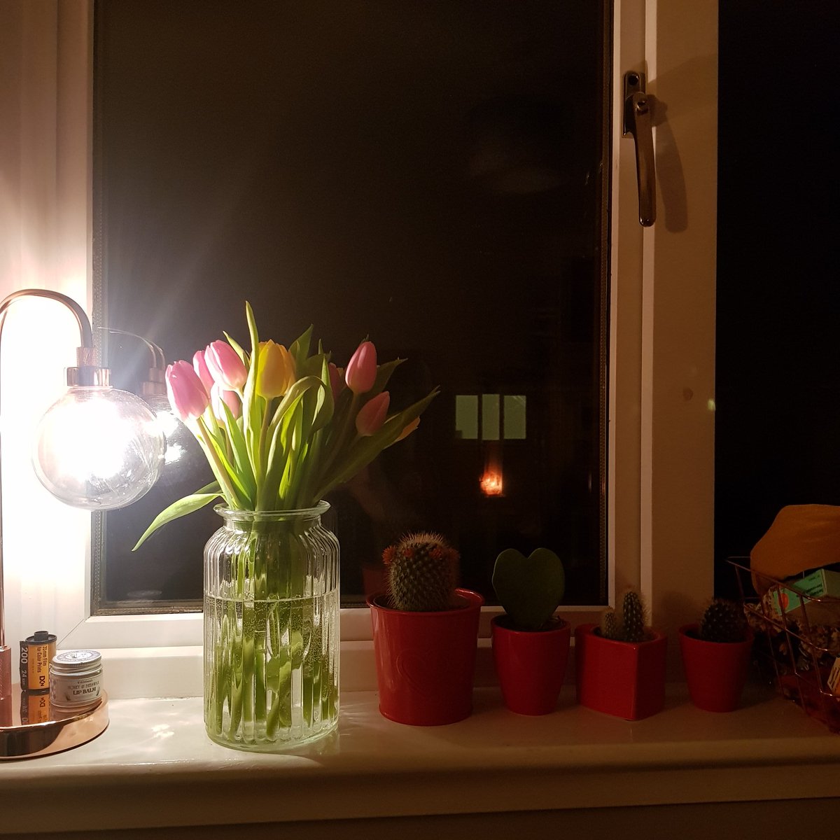 15.3.2020: three okay things • watching Midsommar with Marley (it's now on Prime!) • some spring-coloured tulips to brighten my bedroom • The Ordinary Alpha Arbutin serum saving me from angry stress-acne  #threeokthings  #seekingsunshine