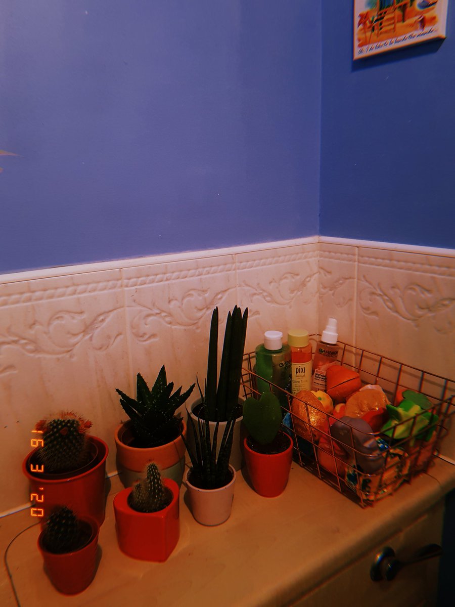 16.3.2020: three okay things• a plant care/watering evening • organising my desk & feeling better about life afterwards • a gorgeous & colourful bath  #threeokthings  #seekingsunshine