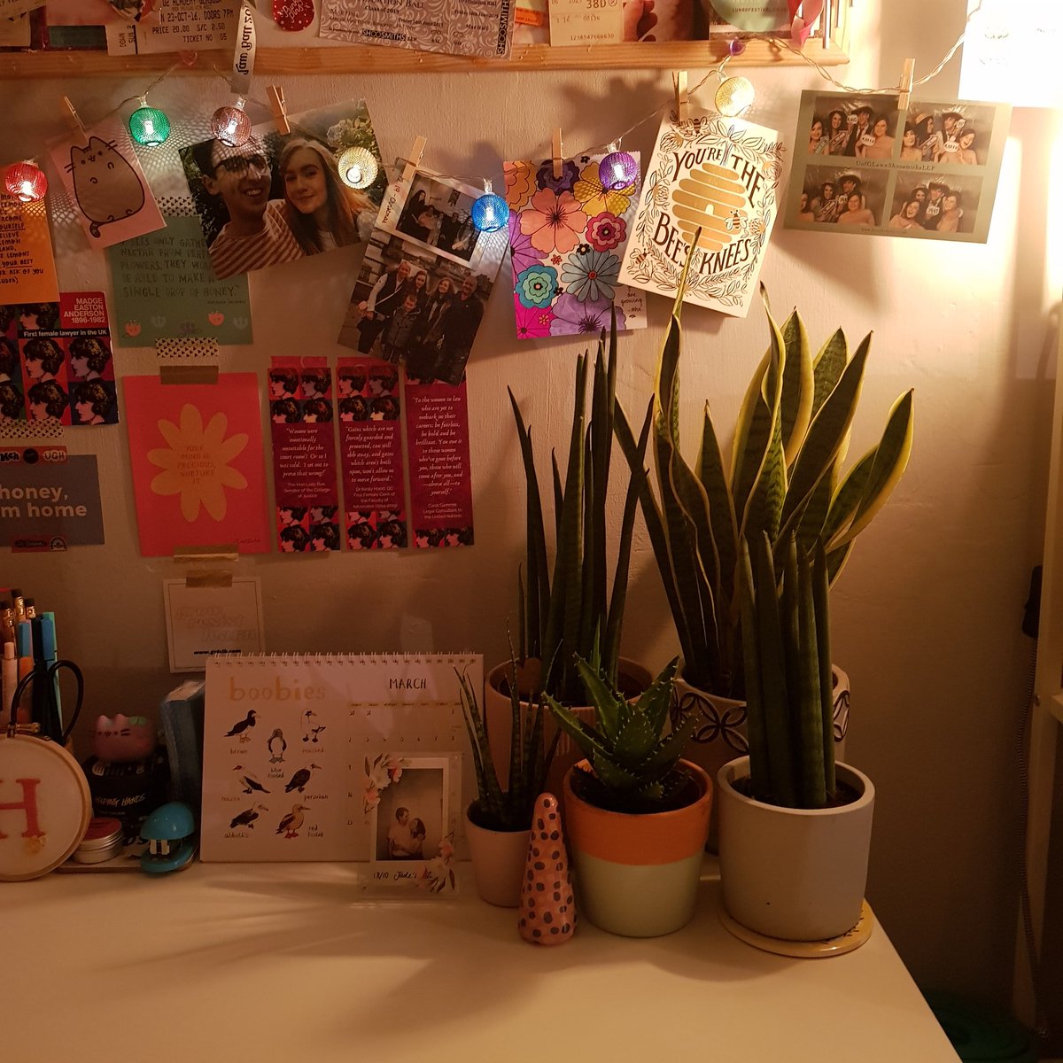 16.3.2020: three okay things• a plant care/watering evening • organising my desk & feeling better about life afterwards • a gorgeous & colourful bath  #threeokthings  #seekingsunshine