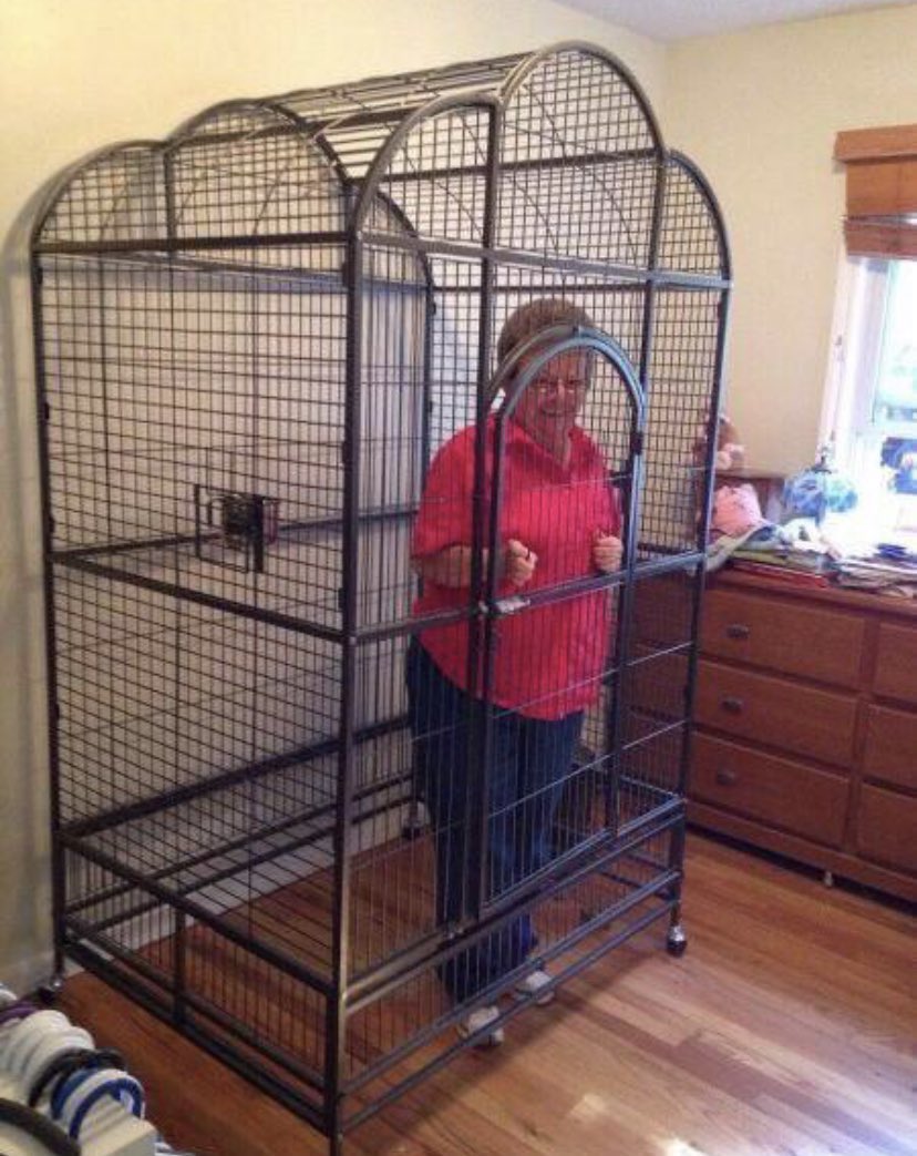 Grandma kept visiting public spaces so i put her on lockdown... gotta protect the elderly!!
