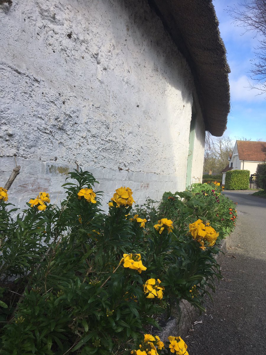 Ashwell museum tweet media