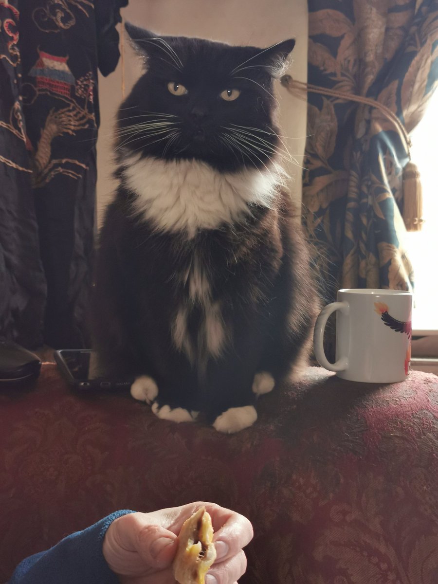 "I am not looking at your steak bake... no...nothing to see here..."