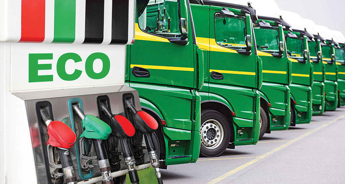 transreporterin's tweet photo. The face of globalisation is changing. Transportation companies are joining the green revolution in a big way.

https://t.co/pzapRP1RAC

#transreporter #logistics #digitaltransformation #technology #transport #GoGreen https://t.co/R4W6e0Wn46