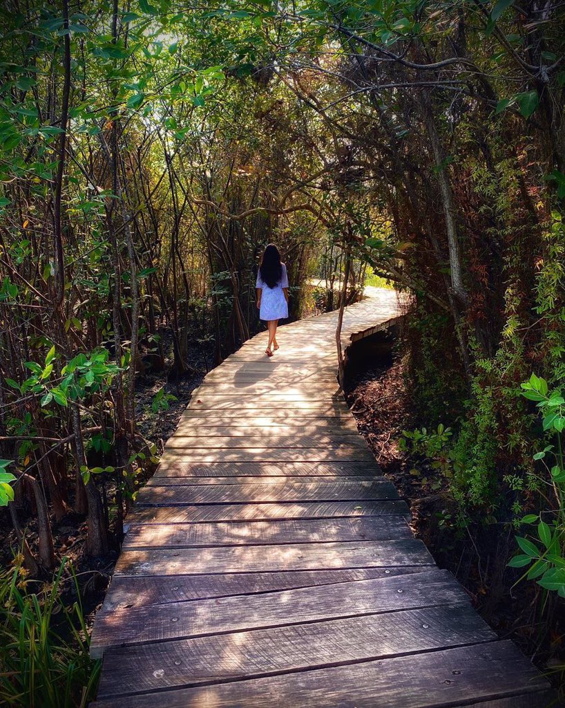Attractionsinsrilanka On Twitter Beddagana Wetland Park Colombo Srilanka Https T Co 1jk3xyecwl Photo Credit Apple Juice Travel Travelsrilanka Nature Visitsrilanka Naturephotography Travelphotography Wonderlust Srilankanature Colombo