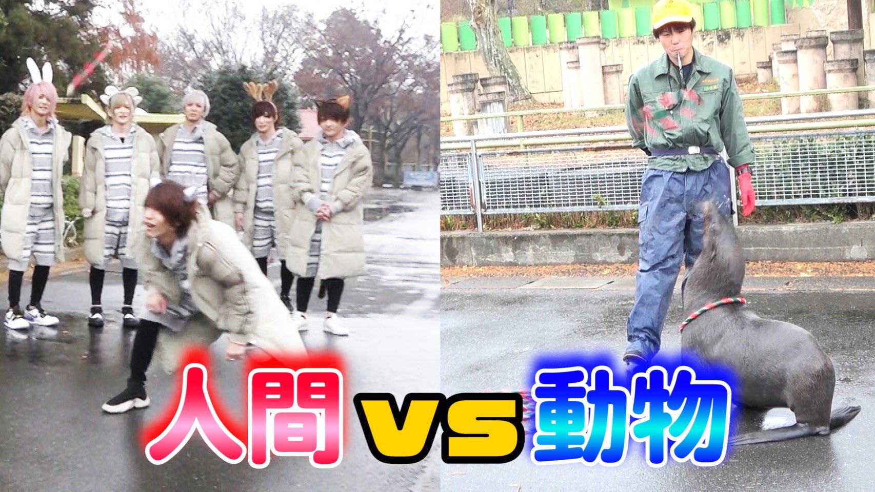 Zooっとともだち Twitterissa ズっともチャンネル動画更新 オットセイと輪投げキャッチ対決した結果ｗｗｗ 人間vs動物 T Co Lirl31kqpl ズっとも 東武動物公園 ペット系アイドル V系 T Co P64zyatmrs Twitter