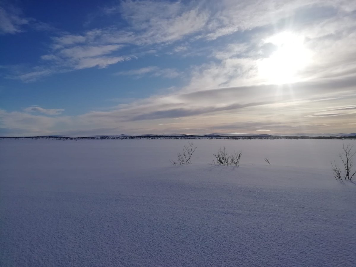 KMhansabar's tweet photo. Travellers come to #Karigasniemi village in #Utsjoki to explore the best Atlantic salmon fishing areas in Europe, the magnificent #highlands of Utsjoki and the peaceful #wilderness. 

#lapland #Finland #exploreutsjoki #visitfinland #onlyinlapland #laplandfinland #nofilter #nature https://t.co/Bqxsmux5Eo