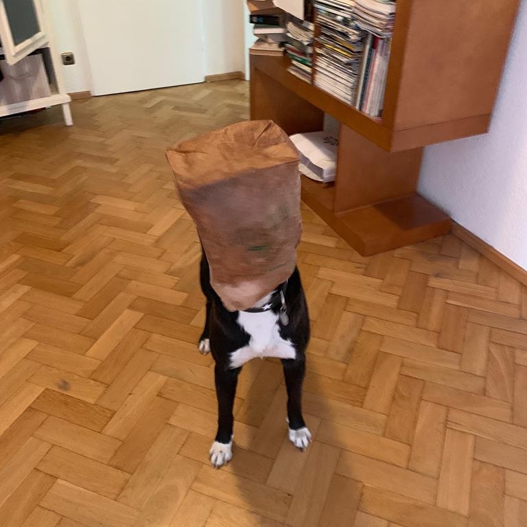 <a href="/LearNonsense/">Prof Sara Lodge</a> Spencer wishes Rosie a fantastically happy birthday and marvelous new year from Germany! 💗🎂🇩🇪