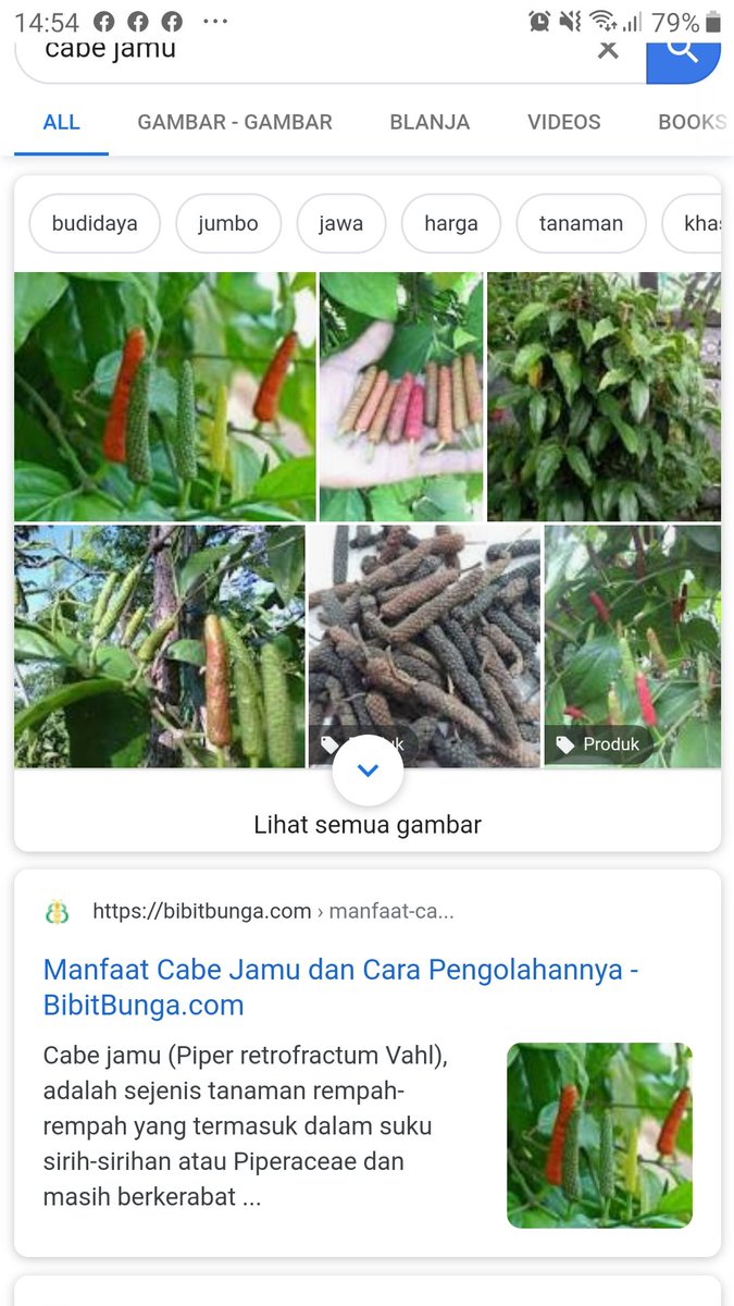 Diseduh On Twitter Udah Ada Yang Meneliti Khasiat Cabe Jamu