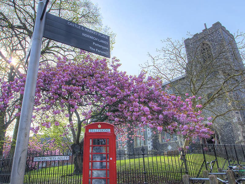 Please support the independents as they will support you. The Lanes have food, drink and companionship available throughout the day - norwichlanes.co.uk #Norwich #indieretail