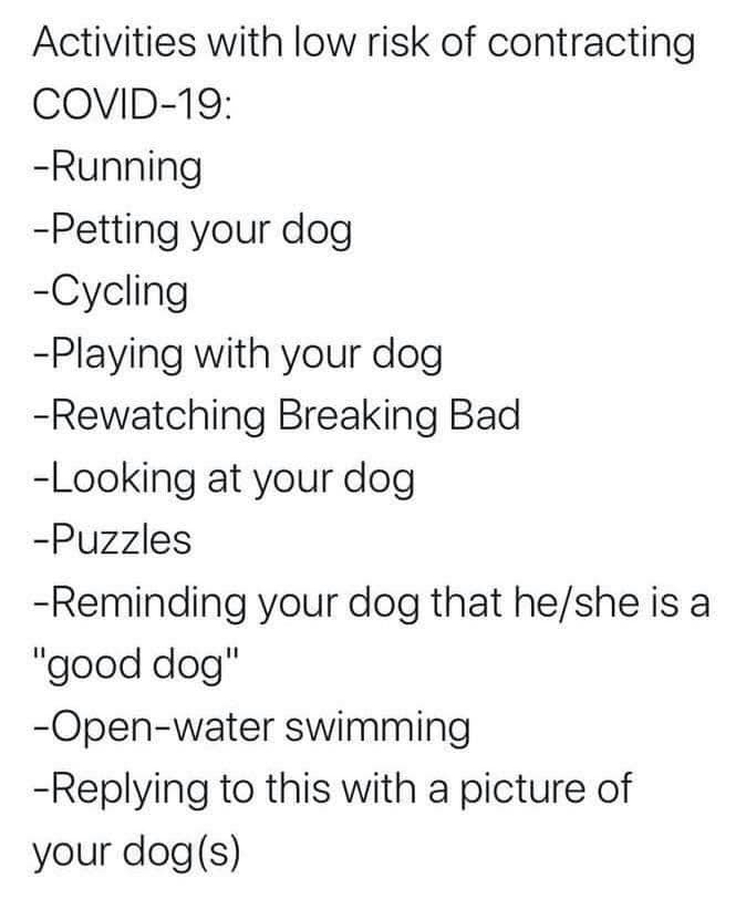 <a href="/WFM_Matters/">Winterbourne & Frampton Matters</a> <a href="/FlowersFloreli/">Flowers by Floreli</a> <a href="/BS_Matters/">BradleyStokeMatters</a> @southglostaxis <a href="/BarberWoody/">Woody's Barber Shop</a> <a href="/FootcareIms/">IMS Footcare</a> <a href="/BPatchway/">Building Supplies Patchway</a> <a href="/GingerBreadCSh1/">The GingerBreadMan Coffee Shop</a> <a href="/BradleyStokeLFC/">Bradley Stoke LFC⚽️</a> <a href="/bradleystokecs/">Bradley Stoke CS</a> <a href="/BSTFC/">BSTFC</a> @GasGirlsWFC <a href="/Southgloslibs/">South Glos Libraries</a> @LittleStoke_FC <a href="/stokegiffordfc/">Stoke Gifford United FC</a> <a href="/FiltonAthletic/">Filton Athletic FC</a> @Bristol_People <a href="/FcFrampton/">Frampton Rangers Ladies FC</a> <a href="/FramptonRFC/">Frampton Cotterell</a> <a href="/ClubFrampton/">Frampton Cotterell Netball Club</a> <a href="/TheFramCC/">Frampton Cotterell Cricket Club</a> <a href="/CoalpitFC/">Coalpit Heath Football Club 🟠⚫️</a> <a href="/CoalpitHeathCC/">Coalpit Heath CC</a> <a href="/WB_MedievalBarn/">W/B Medieval Barn</a> <a href="/GlobeFramptonC/">The Globe</a> <a href="/TheGoodDogGuide/">The Good Dog Guide</a> <a href="/HopeRescue/">Hope Rescue</a> <a href="/Bristol_ARC/">Bristol Animal Rescue Centre</a> <a href="/FcWinterbourne/">Winterbourne United FC</a> <a href="/WbourneCC/">Winterbourne CC</a> <a href="/HambrookUtd/">Hambrook United</a> <a href="/HambrookCC/">HambrookCricket Club</a> <a href="/HambrookSC/">Hambrook Sports Club</a> <a href="/DwffFilton/">DWFF Bristol Filton</a> <a href="/WheatfieldPTA/">Friends of Wheatfield Primary School</a> <a href="/AreaNhws/">Oxbarton Area NHWS</a> <a href="/meade_park/">Love Meade Park.</a> <a href="/of_acres/">Friends of 40 Acres</a> @friendsoflittl2 <a href="/of_stoke/">Friends of Stoke Gifford Play Parks</a> <a href="/BStokeUtd/">Bradley Stoke Utd</a> <a href="/AlmondsburyLFC/">Almondsbury LFC</a> <a href="/LloydWilliams75/">G Lloyd Williams</a> <a href="/FramptonCottWI/">Frampton CotterellWI</a> <a href="/FramptonParish/">Frampton Cotterell Parish Council</a> <a href="/My_English_Home/">My English Home</a> <a href="/AndyJarrett3/">Andy Jarrett</a> <a href="/GRFUrugby/">#GRFU</a> <a href="/HGsolicitors/">Henriques Griffiths Solicitors</a> <a href="/DunkleysCo/">Dunkley's Chartered Accountants</a> Stay safe #COVID2019