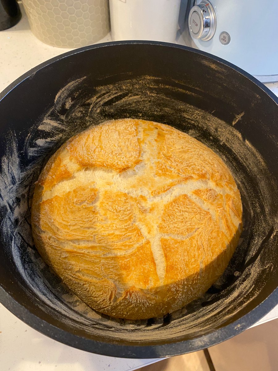 Aoife McCrum tweet media