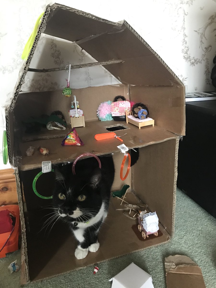 threemousekete1's tweet image. I’m now in self-isolation... #COVID2019 #Corvid19uk #izzy @Number10cat