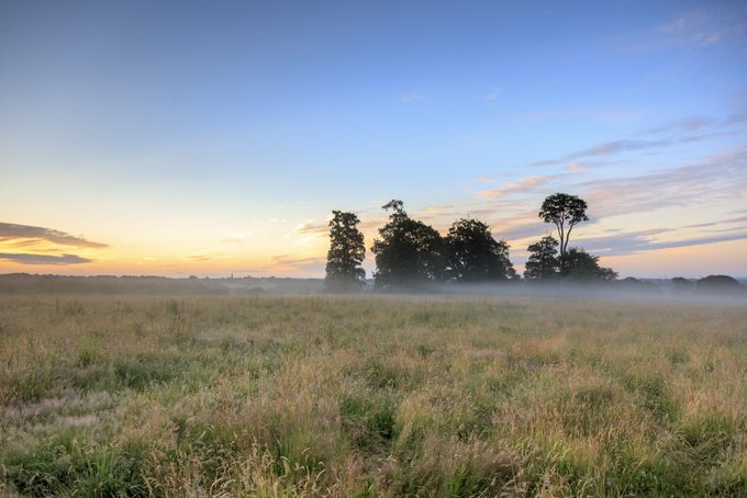 derbyshirecarer's tweet photo. the @nationaltrust are aiming to open many of their gardens and parks for free during this difficult time, so the nation can use open spaces to relax and refresh, while following the government’s social distancing guidance. They will be closing their houses, cafés and shops https://t.co/p1A87gKJzq