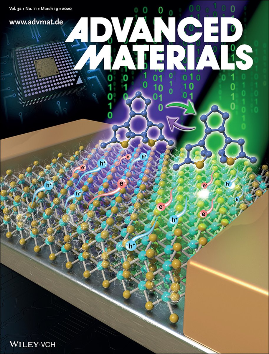 NanochemistryL's tweet image. Our optically switchable multilevel high‐mobility field‐effect transistors based on few‐layer ambipolar WSe2 featured on the cover of the latest issue of Advanced Materials! 💡⚡️ @AdvSciNews 🤝🇫🇷🇩🇪 @PSamori @unistra @CNRS @CNRS_Alsace @INC_CNRS @HumboldtUni @berlinscience @RWTH