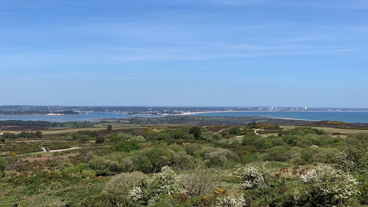 Forestry England (@forestryengland) on Twitter photo We are one of seven landowners who have joined forces to create the largest ever lowland heath National Nature Reserve on land we manage. We’re working closely with <a href="/nationaltrust/">National Trust</a>, <a href="/NaturalEngland/">Natural England</a>, <a href="/Natures_Voice/">RSPB</a>, #RempstoneEstate, <a href="/DorsetWildlife/">Dorset Wildlife Trust</a> & <a href="/ARC_Bytes/">Amphibian and Reptile Conservation</a>. #PurbeckHeathsNNR We are one of seven landowners who have joined forces to create the largest ever lowland heath National Nature Reserve on land we manage. We’re working closely with <a href="/nationaltrust/">National Trust</a>, <a href="/NaturalEngland/">Natural England</a>, <a href="/Natures_Voice/">RSPB</a>, #RempstoneEstate, <a href="/DorsetWildlife/">Dorset Wildlife Trust</a> & <a href="/ARC_Bytes/">Amphibian and Reptile Conservation</a>. #PurbeckHeathsNNR