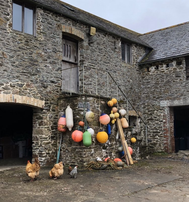 CarswellCottage's tweet photo. These beautiful ladies, accompanied by our rather magnificent cockerel, are happily exploring the farm yard this morning. There’s something very calming about watching chickens don’t you agree? 🐓 #freerangechickens #ruralscenes #devonfarms #Devon https://t.co/Kt38RWqk6V